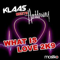 Klaas meets Haddaway - What Is Love 2K9
