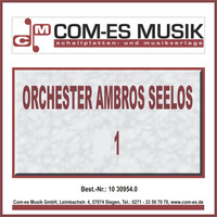 Orchester Ambros Seelos - Orchester Ambros Seelos (1)
