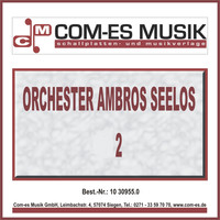 Orchester Ambros Seelos - Orchester Ambros Seelos (2)