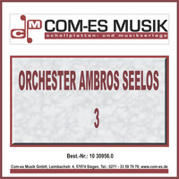 Orchester Ambros Seelos - Orchester Ambros Seelos (3)