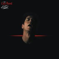 Lou Reed - Ecstasy (Explicit)