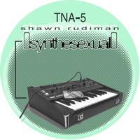 Shawn Rudiman - Synthesexual (Part 1)