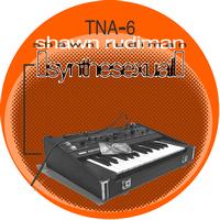 Shawn Rudiman - Synthesexual (Part 2)