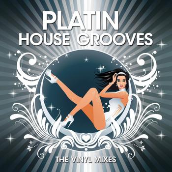 Various Artists - Platin House Grooves (The Vinyl Mixes)
