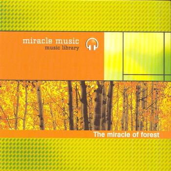 Various Artists - The Miracle of Forest