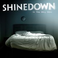 Shinedown - If You Only Knew