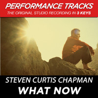 Steven Curtis Chapman - What Now (Performance Tracks)
