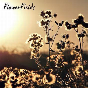 Ingo Herrmann - Flowerfields