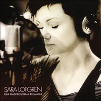 Sara Löfgren - Där maskrosorna blommar
