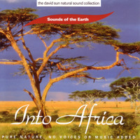 Sounds Of The Earth - Into Africa