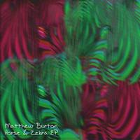 Matthew Burton - Horse & Zebra