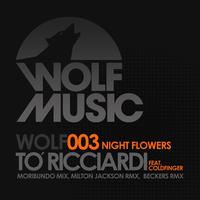 To Ricciardi - Night Flowers EP