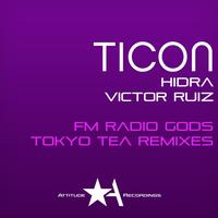 FM Radio Gods - Tokyo Tea Remixes