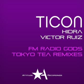 FM Radio Gods - Tokyo Tea Remixes