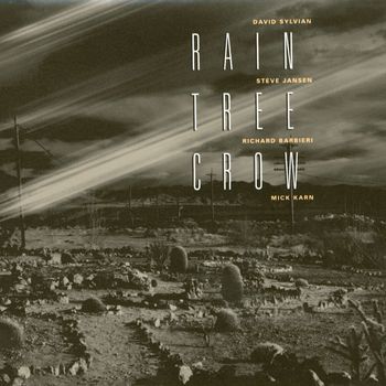 Rain Tree Crow - Rain Tree Crow