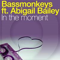 Bassmonkeys - In The Moment