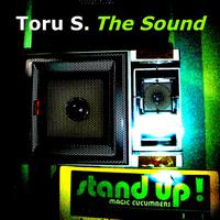 Toru S. - The Sound