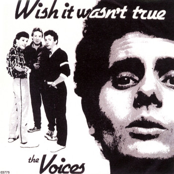 The Voices - Wish it Wasn't True