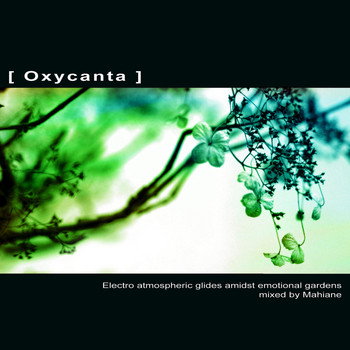 Various Artists - [ Oxycanta ]