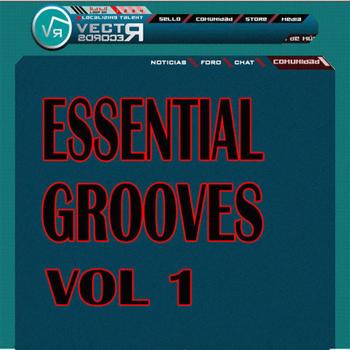 Various - Essential Grooves Vol 1