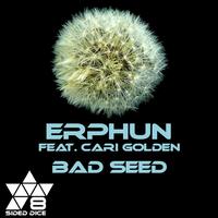Erphun feat. Cari Golden - Bad Seed