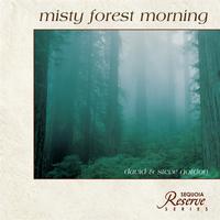 David & Steve Gordon - Misty Forest Morning