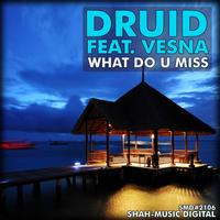 Druid - What Do U Miss (Vesna)