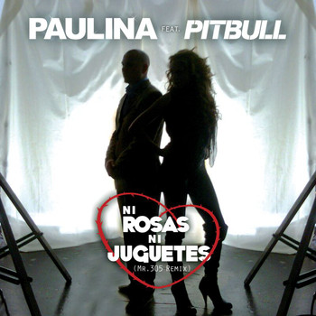Paulina Rubio - Ni Rosas, Ni Juguetes (Mr 305 Remix - Extended Version)