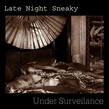 Late Night Sneaky - Under Surveilance
