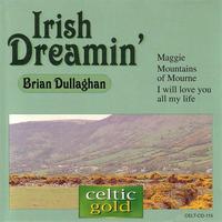 Brian Dullaghan - Irish Dreamin'