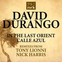David Durango - In The Last Orient/Calle Azul