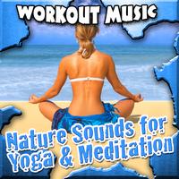 Work Out Music - Nature Sounds for Yoga and Meditation