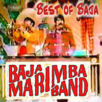 Baja Marimba Band - Best Of Baja