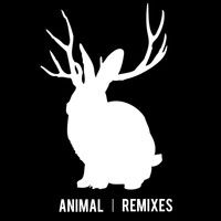 Miike Snow - Animal Remixes