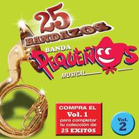 Banda Pequeños Musical - 25 Bandazos de Pequeños Musical (Vol. 2) (USA)