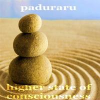 Paduraru - Higher State