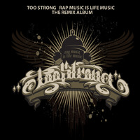 Too Strong - Rap Music Is Life Music (The Remix Album)