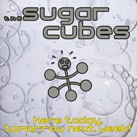 The Sugarcubes - Here Today, Tomorrow, Next Week