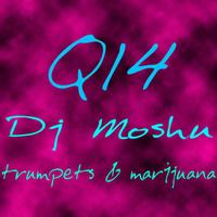 Dj Moshu - Trumpets and Marijuana