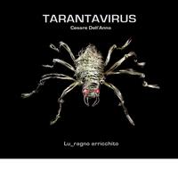 Tarantavirus Cesare Dell'Anna - Lu_ragno arricchito