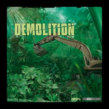 Various Artists - Demolition 10, the vinyl