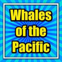 Atmospheric - Whales of the Pacific