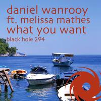 Daniel Wanrooy - What You Want