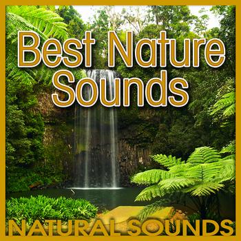 Natural Sounds - Best Nature Sounds (Nature Sound)