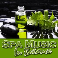 Music for Meditation - Spa Music – In Balance (Nature Sounds and Music)