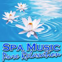 Music for Meditation - Spa Music – Pure Relaxation (Nature Sounds and Music)