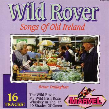 Brian Dullaghan - Wild Rover - Songs Of Old Ireland