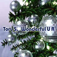 Toru S. - Wonderful U R