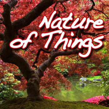 Relaxation and Meditation - Nature of Things (Nature Sound)