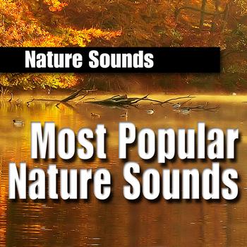 Nature Sounds - Most Popular Nature Sounds
